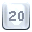 20
